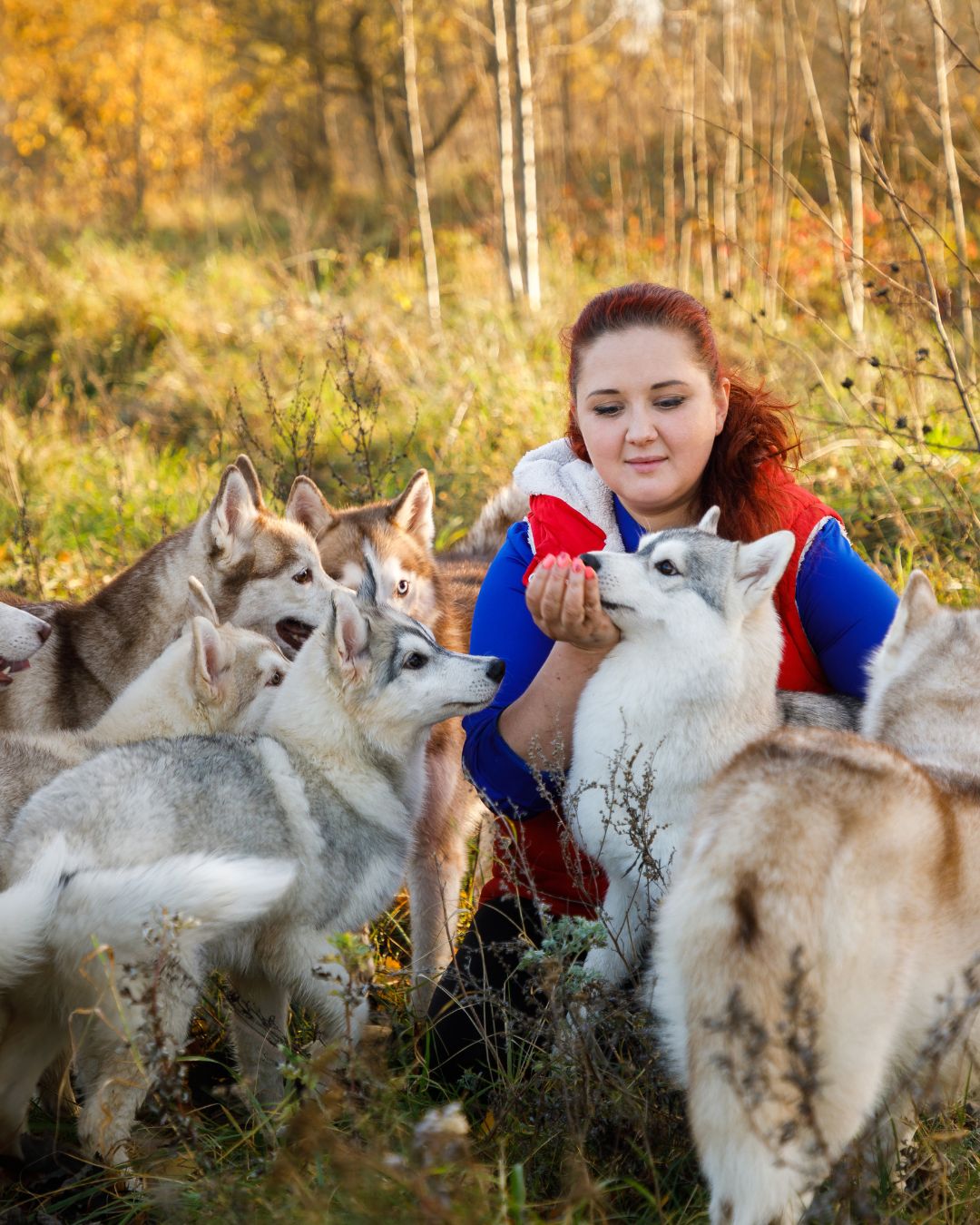 Asesoría a criadores