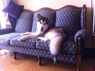 Nena de Kabluna NENA DE KABLUNA