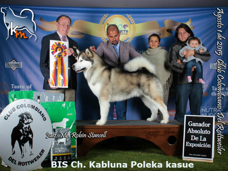 BISS Ch. Kabluna Poleka Kasue