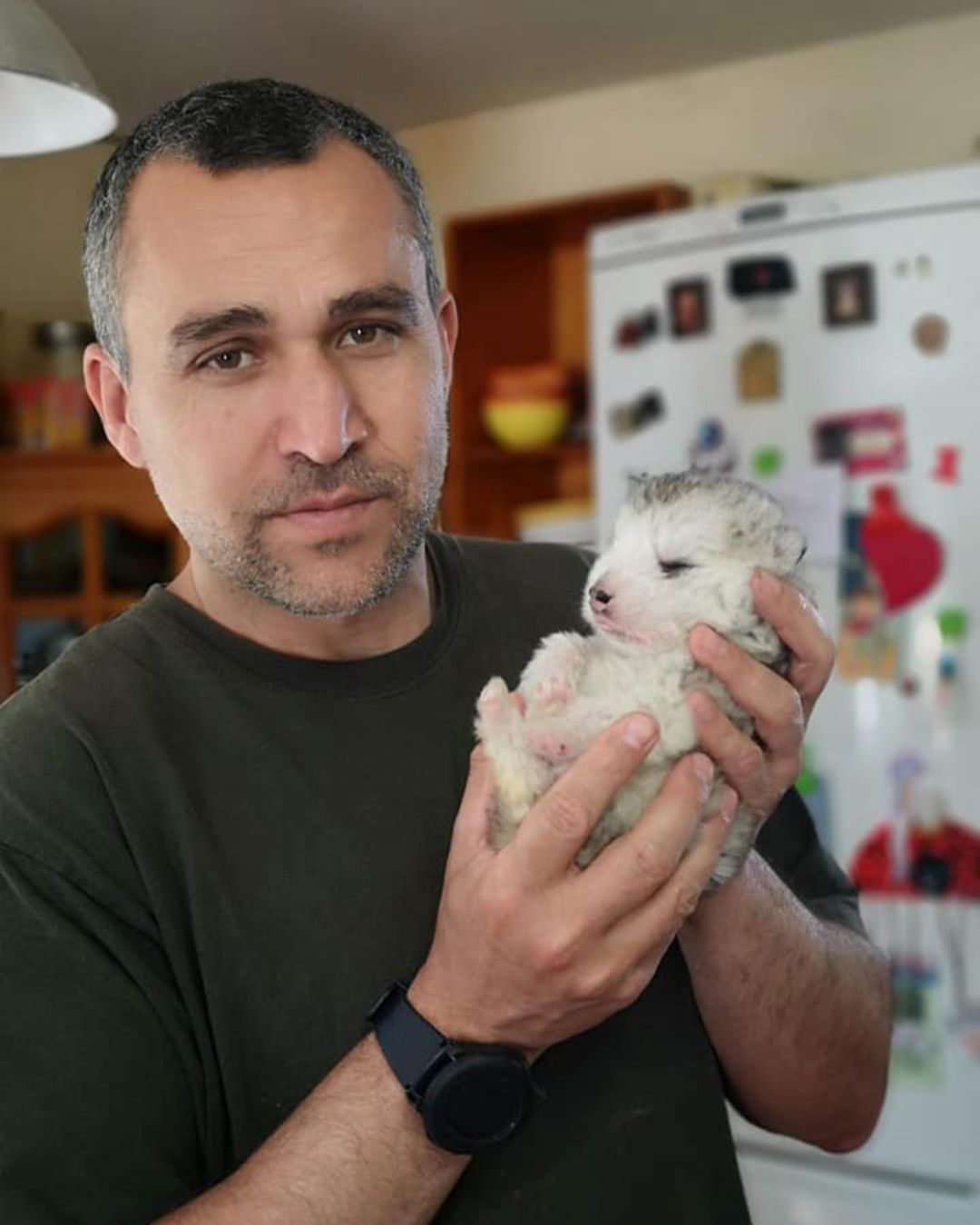 jose veterinario cachorro