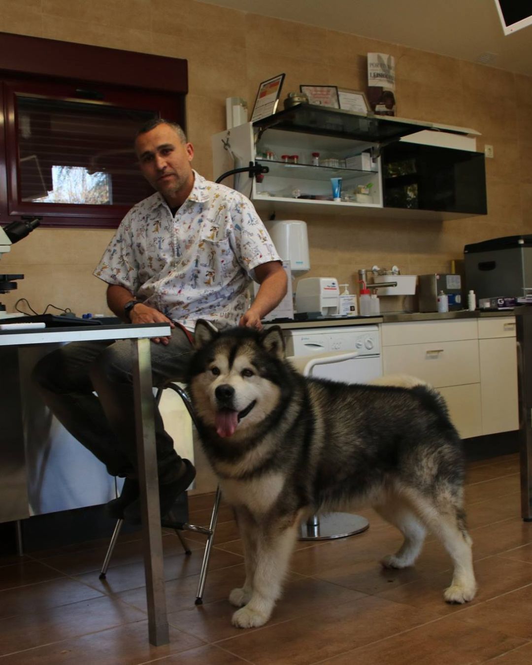 Jose Iglesias en su clínico veterinaria con un malamute