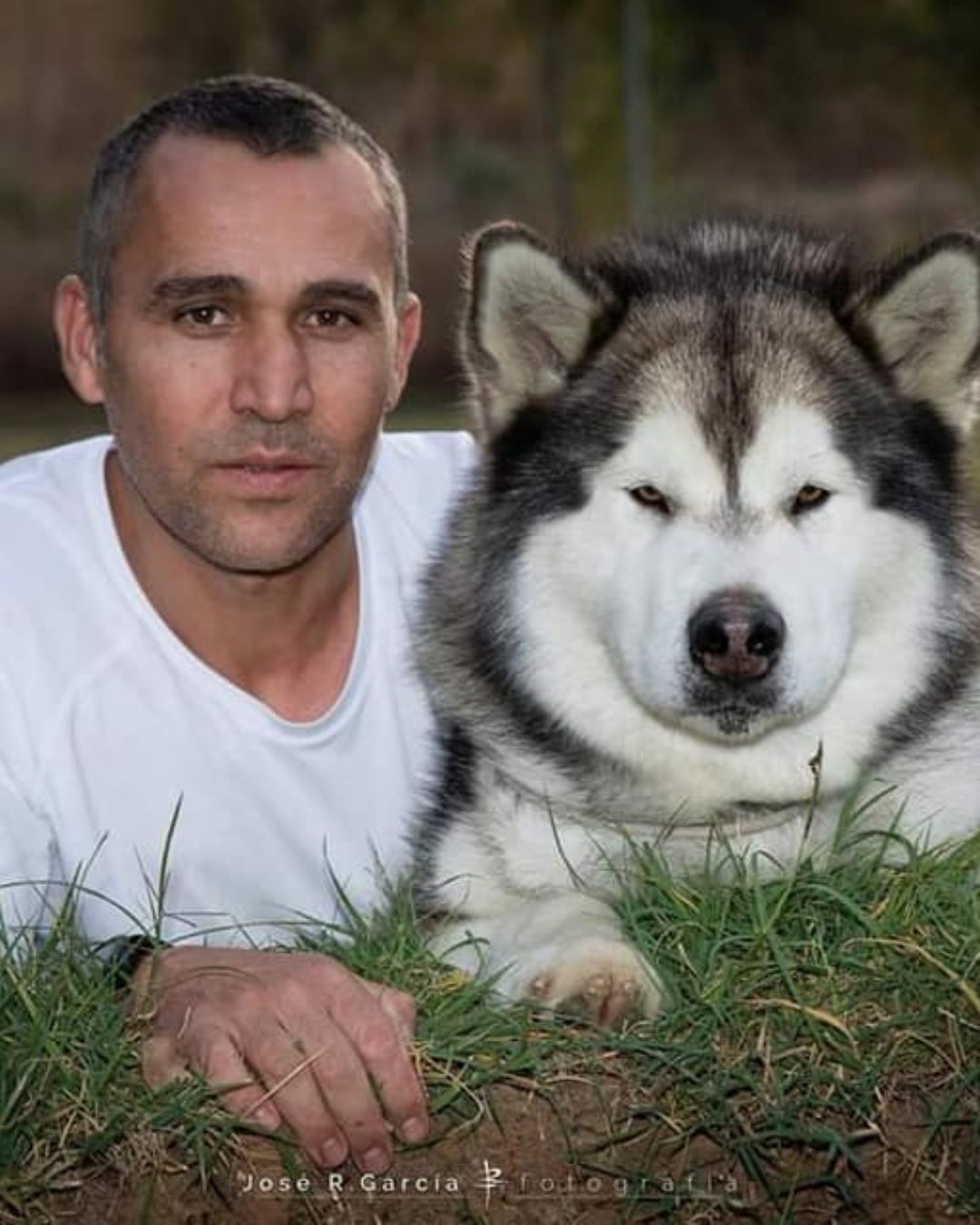jose iglesias y malamute